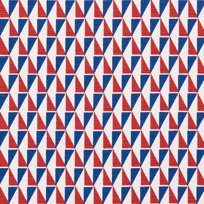 Schumacher Fabric DESIGN 107 RED & BLUE