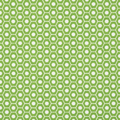 Schumacher Fabric QUEEN B GREEN