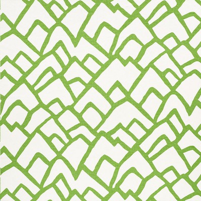 Schumacher Fabric ZIMBA LAWN