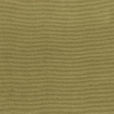 Schumacher Fabric GAINSBOROUGH VELVET LICHEN