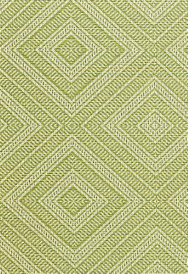 Schumacher Fabric TORTOLA KIWI