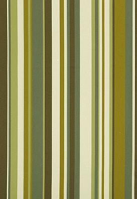 Schumacher Fabric DELRAY STRIPE AVOCADO