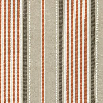 Schumacher Fabric MINZER COTTON STRIPE VALENCIA