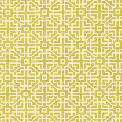 Schumacher Fabric UNION SQUARE CITRON