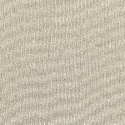 Schumacher Fabric CORSICA WEAVE ZINC