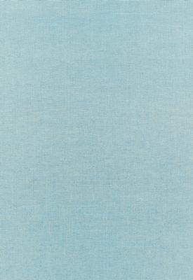 Schumacher Fabric BECKFORD COTTON PLAIN SKY