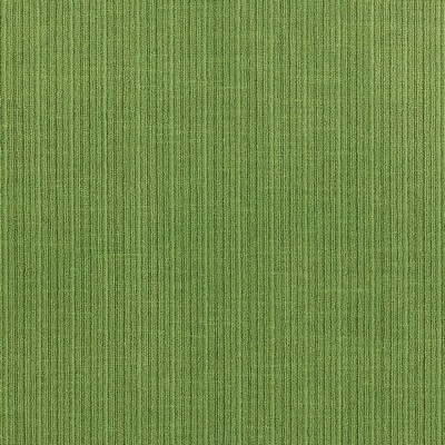 Schumacher Fabric ANTIQUE STRIE VELVET VERDANT