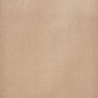 Schumacher Fabric ROCKY PERFORMANCE VELVET LIGHT TAUPE