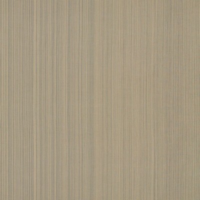 Schumacher Fabric POETTO STRIE RATTAN