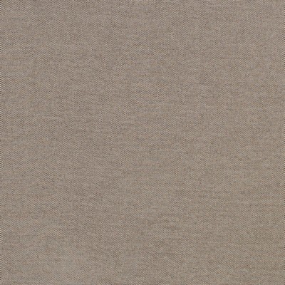 Schumacher Fabric TRAPANI DRIFTWOOD