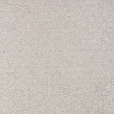 Schumacher Fabric ANDERSON MOONSTONE