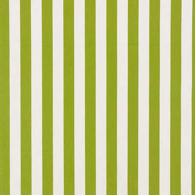 Schumacher Fabric ANDY STRIPE GREEN