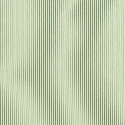 Schumacher Fabric STITCHED STRIPE GREEN