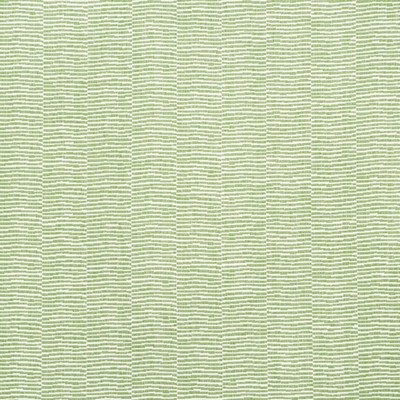 Schumacher Fabric PROMENADE LEAF