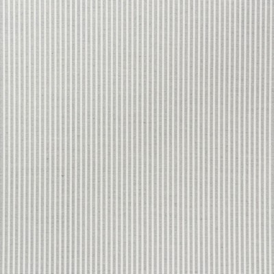 Schumacher Fabric EASTON STRIPE GREY