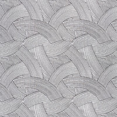 Schumacher Fabric TEMPESTA GRAPHITE