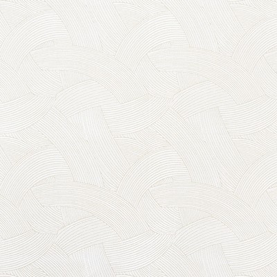 Schumacher Fabric TEMPESTA NATURAL