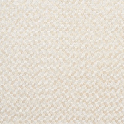 Schumacher Fabric IVINS EMBROIDERY IVORY