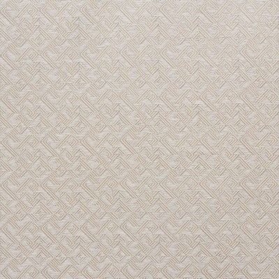 Schumacher Fabric EBERLY TAUPE