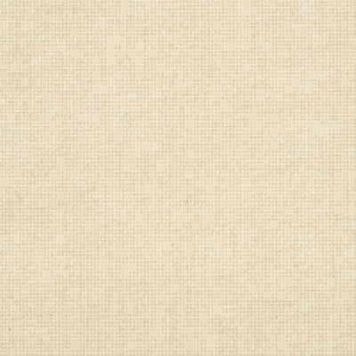 Kravet VINTAGE PLAIN BONE