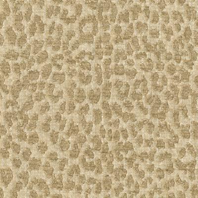 Kravet TETOUAN CREME