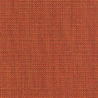 Kravet ELECT SALSA