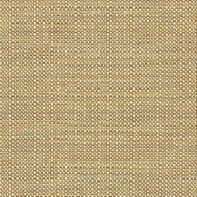 Kravet ELECT MOONSTONE