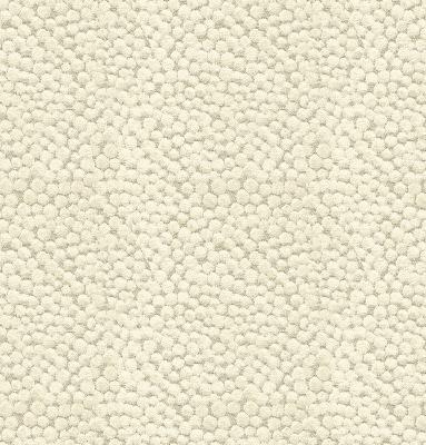 Kravet POLKA DOT PLUSH NATURAL