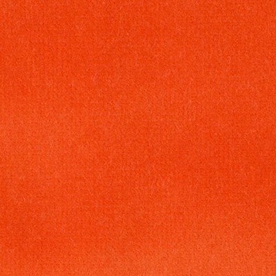 Kravet VELVET TREAT ORANGE