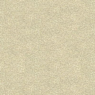 Kravet SHAGREEN LUXURY PLATINUM