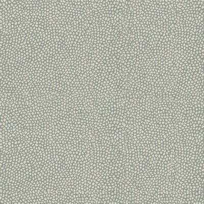 Kravet BRECKEN VAPOR