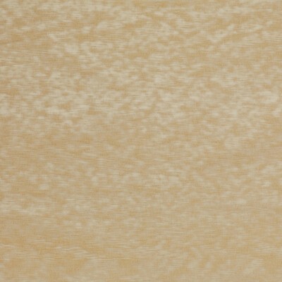 Kravet HIGH IMPACT IVORY