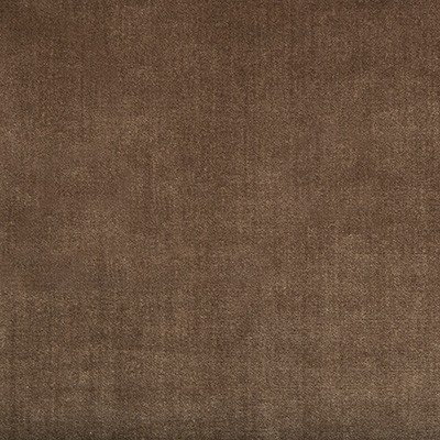 Kravet DUCHESS VELVET MINK