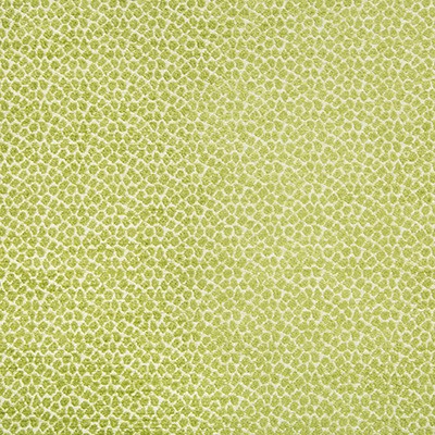 Kravet 34682 3