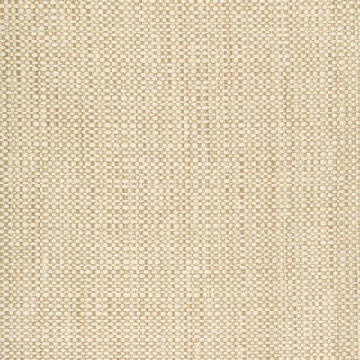 Kravet 34683 416