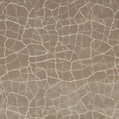 Kravet FORMATION FAWN