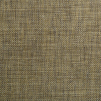 Kravet KRAVET CONTRACT 34926-411