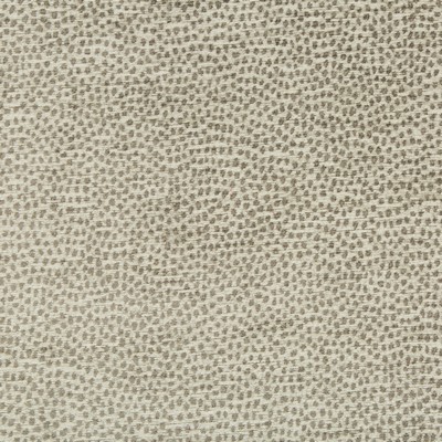 Kravet 34971 11