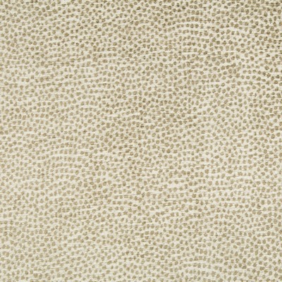 Kravet 34971 16