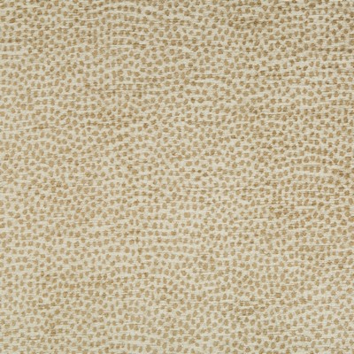 Kravet 34971 4