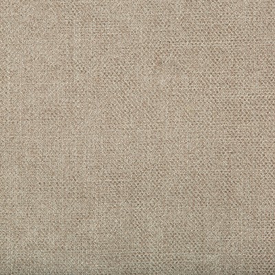 Kravet 35060 11