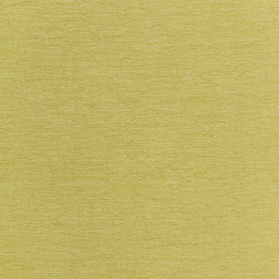 Kravet 35515 123