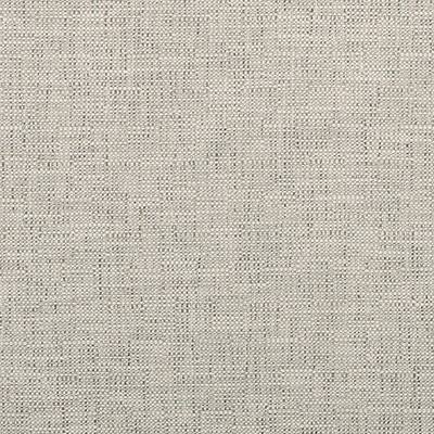 Kravet 35518 111