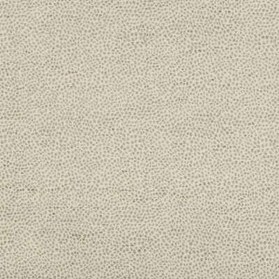 Kravet 35595 11