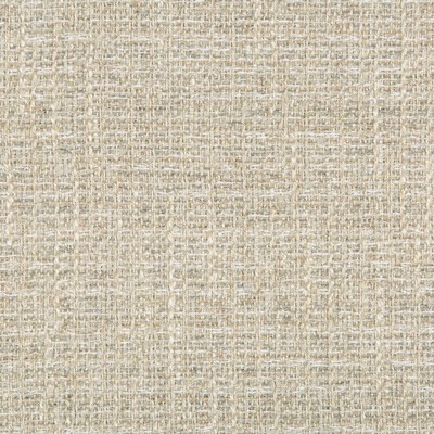 Kravet 35620 11