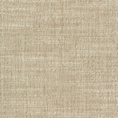 Kravet 35658 16