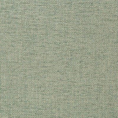 Kravet 35989 13