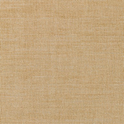 Kravet 36302 16