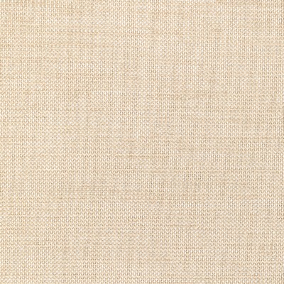 Kravet 36302 1