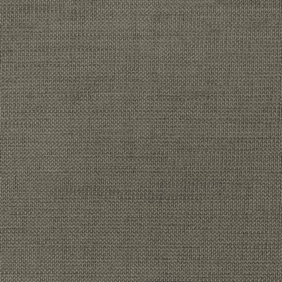 Kravet 36302 21